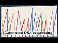 Automated DNA Sequencing Concepts