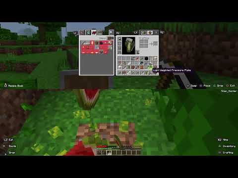 Minecraft Streaming