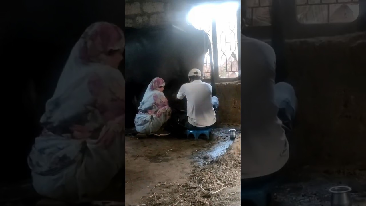 Order Video