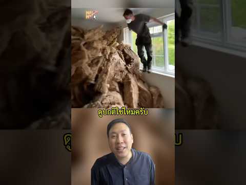 อย่าหาทำแบบนี้เด็ดขาด กระโดดใส่กอง Fiber Glass อันตรายนะ! #สาระ #knowledge #facts #dangerous #shorts