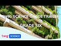 Twigg Science Curriculum Overview