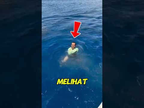Jangan Pernah Lakukan Hal ini Jika Melihat Segerombolan Ikan di Laut!