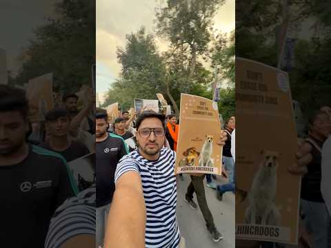 Doglovers United For Protest #savedelhincrdogs #doglover