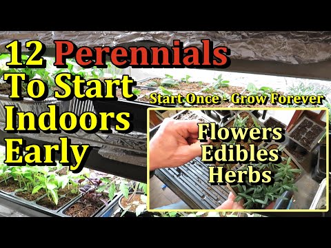 12 Perennial Flowers, Herbs, & Edible Plants to Start Indoors Now (Seed Starting Class E-1)