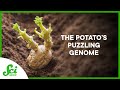 Genetic Editing and Sequencing Challenges