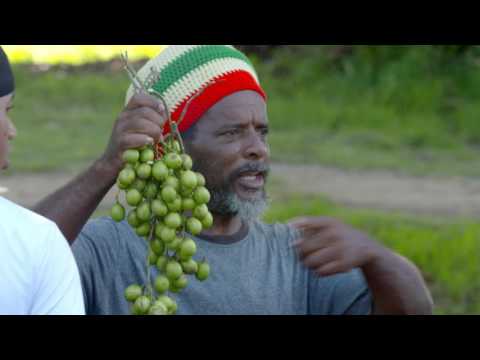 YouTube video thumbnail: Flavours of the USA: St. Croix, U.S. Virgin Islands