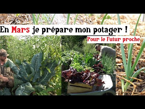 En mars, on sème et on rêve de diversité au potager !