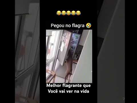 Shorts que vai chegar a 1mi de inscritos hahah