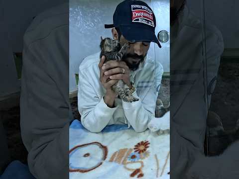 I will be a father and a savior to every kitten that has been abandoned. #kitten #cat #rescuedcat