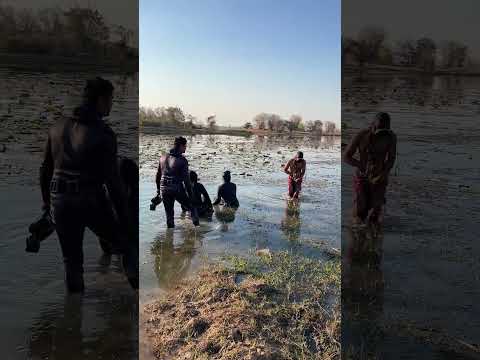 มังกรพลัดถิ่นหรือจะสู้งูดินเจ้าที่ #fishing #carpfishing #fish #carp #lake