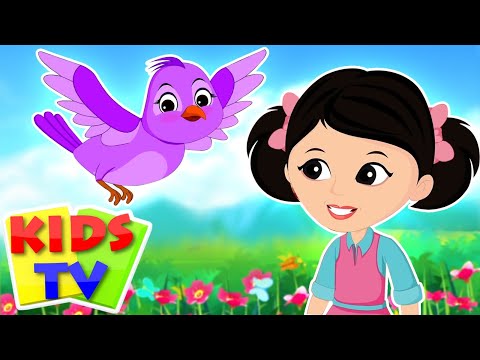 Chidiya Rani Badi Sayani, चिड़िया रानी बड़ी सयानी + Bizzy Baby Hindi Rhymes and Cartoon Songs