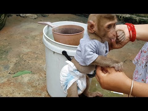 Evening m0m take off diaper and bath cute baby mamoo