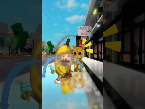 Banana cat's ice cream 🍦 #elgato #bananacat #roblox #brookhaven