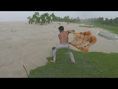 fishing rainy day - village boy catching fish by cast net fishing in beautiful river fishing