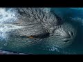 Exploring Google Earth Mysteries