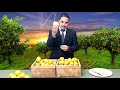 חידון על תרומות ומעשרות