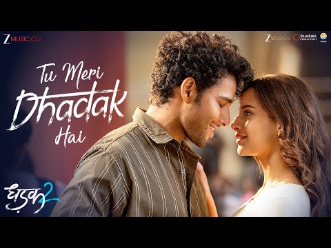 Tu Meri Dhadak Hai | Dhadak 2 | Siddhant C, Triptii Dimri | Vishal Mishra, Javed-Mohsin, Rashmi V