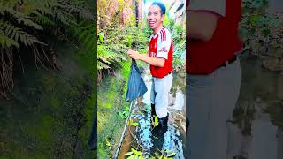 Một nơi đào phôi bờ tường phải nói là cực chất #phieudubonsai #nhocay #caybotuong @Nghiện Nặn Cây🪴 