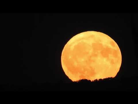 Bright Buck Moon glows over South Gloucestershire, England, UK