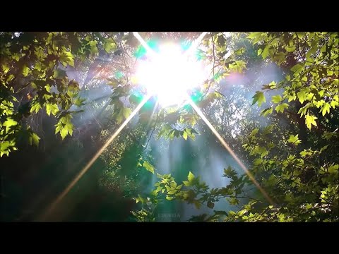 Самая Красивая Музыка, обволакивающая душу нежным теплом... Музыка Сергея Чекалина - Солнечное утро