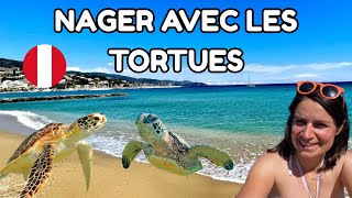 #88 NAGER AVEC LES TORTUES - Arrivée en Équateur
