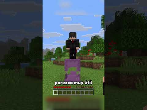 El secreto de la caja de shulker en Minecraft! 🤫