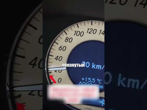 Комар проник в самое сердце машины😆🚗🦟 @shamil_atletica