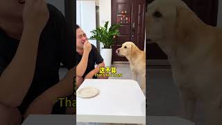 【旺仔很忙🐶wangzai is busy】狗子：终究是太大意了 I was just too careless after all.