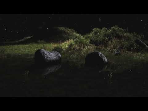 Ólafur Arnalds & Talos - We Didn't Know We Were Ready (feat. Niamh Regan & Ye Vagabonds)