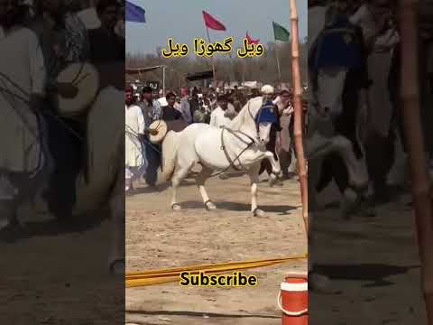 "Ghoda White Rose"🌹 🌹 part 3 Ustad Fakhar Abbas Matila