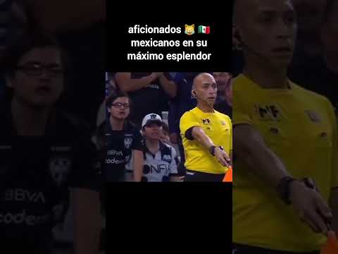 Aficionado Del Monterrey le dice pelón al arbitro 🇲🇽 😹 #shorts #futbol