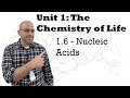 Nucleic Acids and RNA Functions