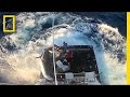 Marlin Facts and Fishing Challenges