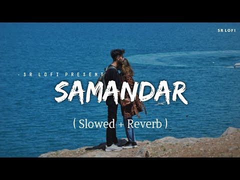 Samandar - Lofi (Slowed + Reverb) | Jubin Nautiyal, Shreya Ghoshal | SR Lofi