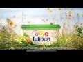 Características e Benefícios do Nuevo Tulipán