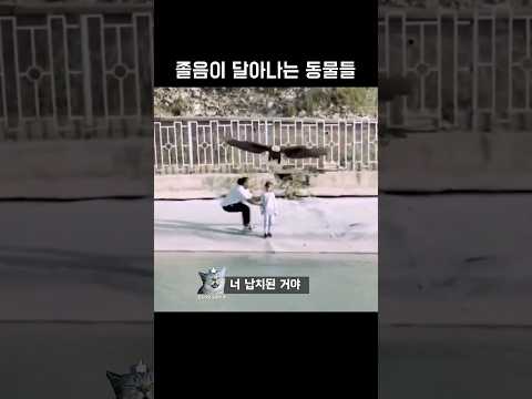 졸음이 달아나는 동물들