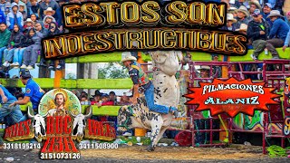 ESTOS SON INDESTRUCTIBLES LOS MEJORES TOROS Y JINETES EN LAS FIESTAS DE QUINCEO MICHOACÁN
