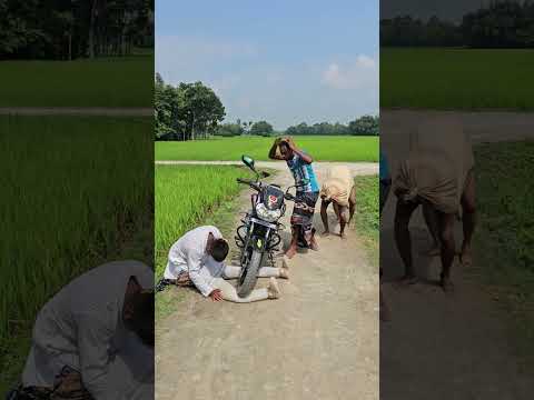 The motorcycle came and stood on its feet, then it ran away.