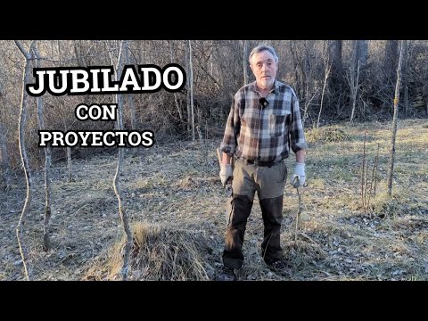 Cómo un hombre de 75 años transformó una huerta abandonada