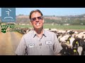 Frank Conine Dairy Operations and Practices