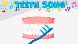 Teeth Song | Teeth Facts for Kids | Human Body Song for Kids | Teeth Song for Kids | Fun Songs