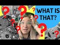 Identifying Plant and Animal Cell Structures