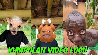 Kompilasi video lucu bikin ngakak terbaru #funny