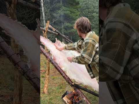Sheepskin Tanning #traditional #outdoorskills #hidetanning