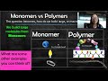 Understanding Macromolecules and Polymers
