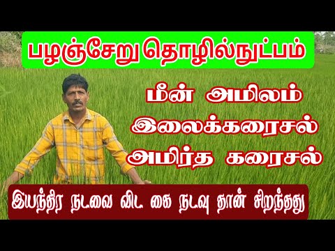 பழஞ்சேறு தொழில்நுட்பமும் எளிய இயற்கை இடுபொருட்களும்