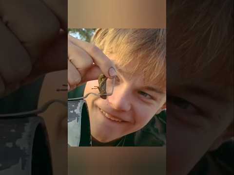 The boy put a grasshopper in mailbox #shorts #shortvideo #short