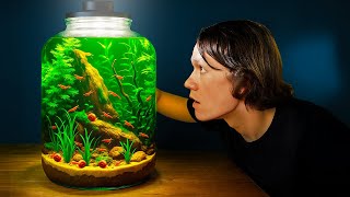 Building a Shrimp Colony in a Giant Jar