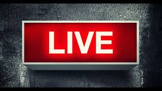 Livezinea