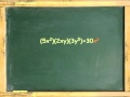 Monomial Operations and Exponents